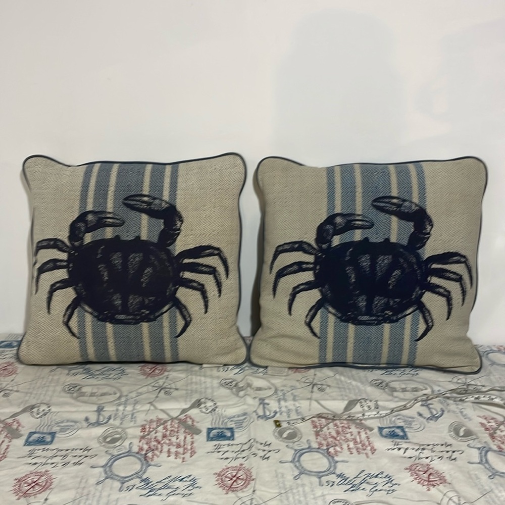 Set of 2 pillows